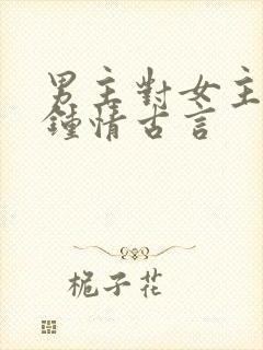 男主对女主一见钟情古言