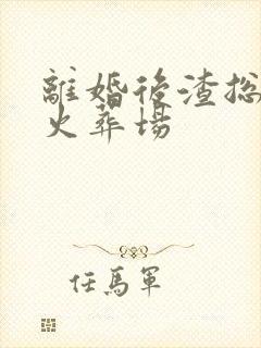 离婚后渣总追妻火葬场