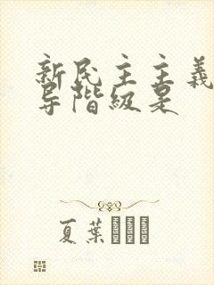 新民主主义的领导阶级是