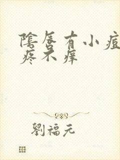 阴唇有小痘痘不疼不痒