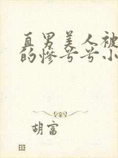 直男美人被欺负的惨兮兮小说