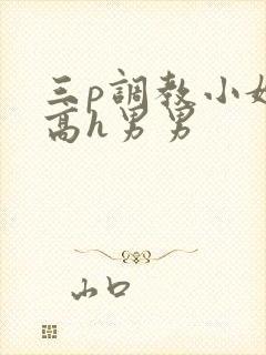 三p调教小嫩苞高h男男