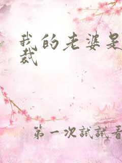 我的老婆是女总裁