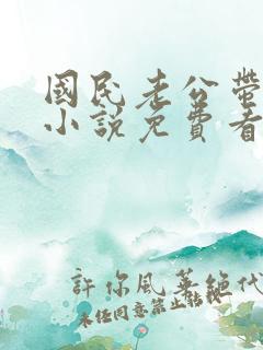 国民老公带回家小说免费看