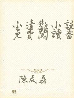 小清欢小说全文免费阅读番外