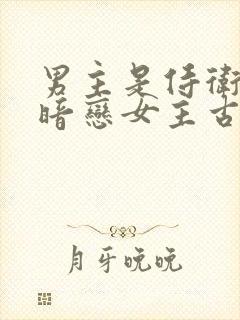 男主是侍卫从小暗恋女主古言