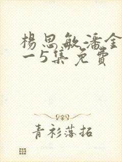 杨思敏潘金莲1一5集免费