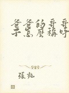 爸爸的哥哥的儿子怎么称呼