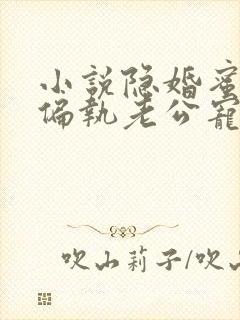 小说隐婚蜜爱:偏执老公宠上瘾免费看