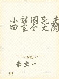 小说国民老公带回家全文阅读