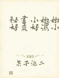 秘书小嫩嫩好紧好爽好湿小说