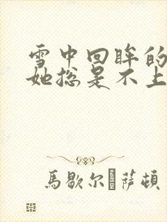 雪中回眸的娘娘她总是不上进