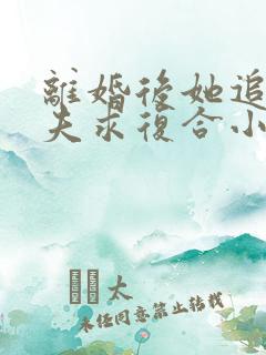 离婚后她追着前夫求复合小说