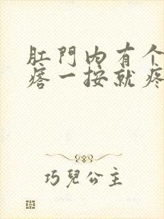 肛门内有个硬疙瘩一按就疼