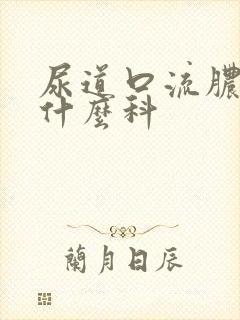 尿道口流脓要看什么科