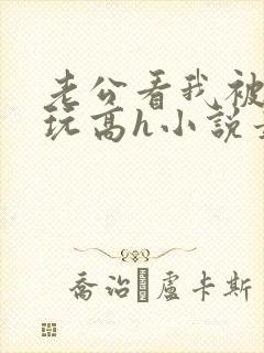 老公看我被别人玩高h小说最新章节列