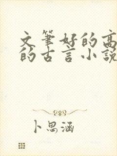 文笔好的高质量的古言小说