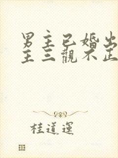 男主已婚出轨女主三观不正小说