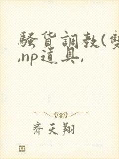 骚货调教(双性,np道具,