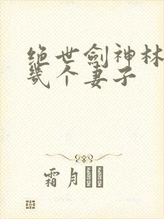 绝世剑神林辰有几个妻子