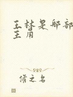 王林是哪部小说主角