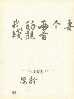 我的两个妻子在线观看