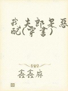 我夫郎是恶毒男配(穿书)