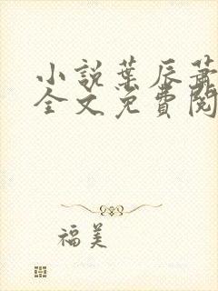 小说叶辰萧初然全文免费阅读