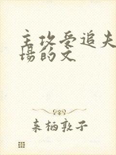 主攻受追夫火葬场的文