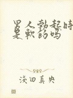 男人勃起时龟头是软的吗