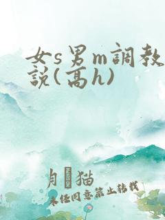 女s男m调教小说(高h)