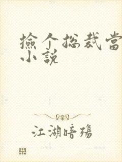 捡个总裁当老公小说