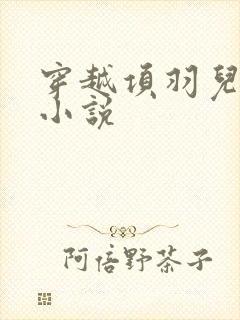 穿越项羽儿子的小说