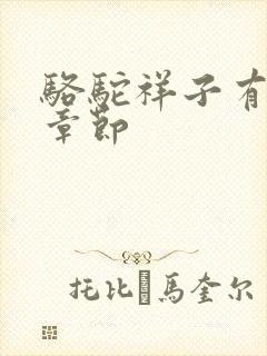 骆驼祥子有哪些章节