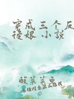 穿成三个反派的后娘 小说
