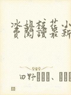 冰姐校花小说免费阅读最新章节