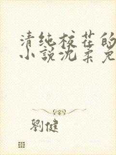 清纯校花的日常小说沈柔免费阅读