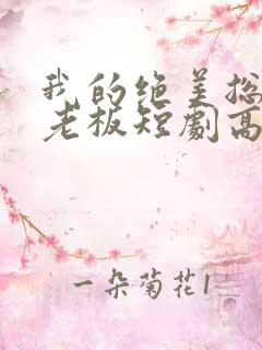 我的绝美总裁女老板短剧高清完整版