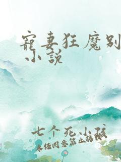 宠妻狂魔别太坏 小说