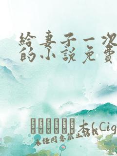 给妻子一次恋爱的小说免费阅读