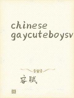 chinesegaycuteboysvideoporn