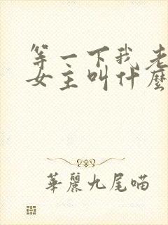 等一下我老公呢女主叫什么