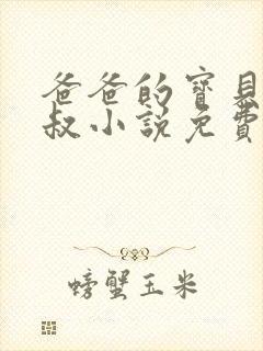 爸爸的宝贝李叔叔小说免费阅读