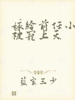 嫁给前任小叔后被宠上天