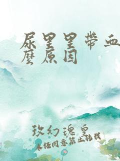 尿里里带血是什么原因