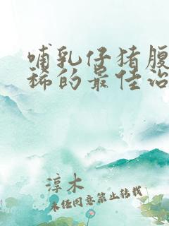 哺乳仔猪腹泻拉稀的最佳治疗方法