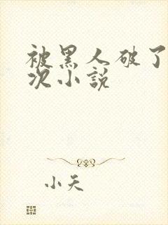 被黑人破了第一次小说
