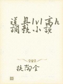 道具1v1高h调教小说