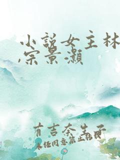 小说女主林辛言,宗景灏