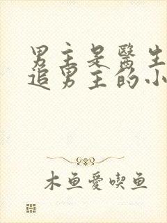 男主是医生女主追男主的小说